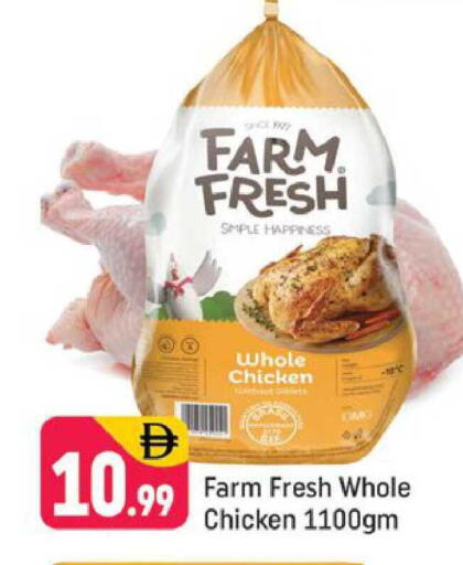 available at شكلان ماركت in الإمارات العربية المتحدة , الامارات - دبي