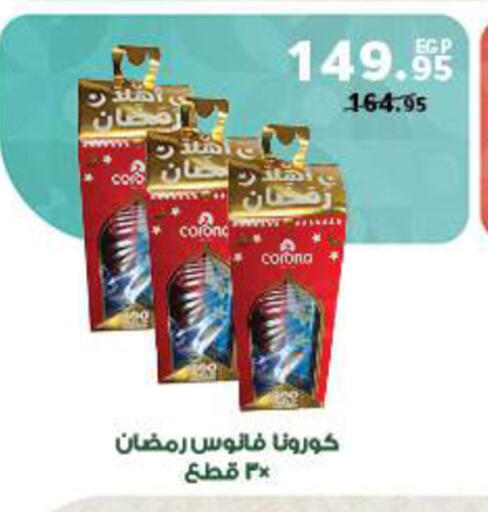 available at بنده in Egypt - القاهرة