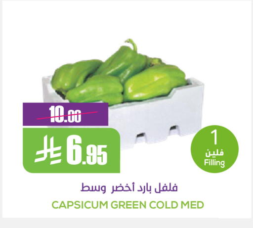 Capsicum available at سبت in مملكة العربية السعودية, السعودية, سعودية - بريدة