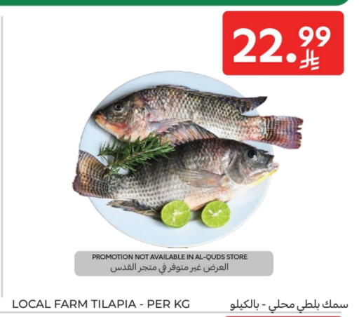 available at Carrefour in KSA, Saudi Arabia, Saudi - Sakaka
