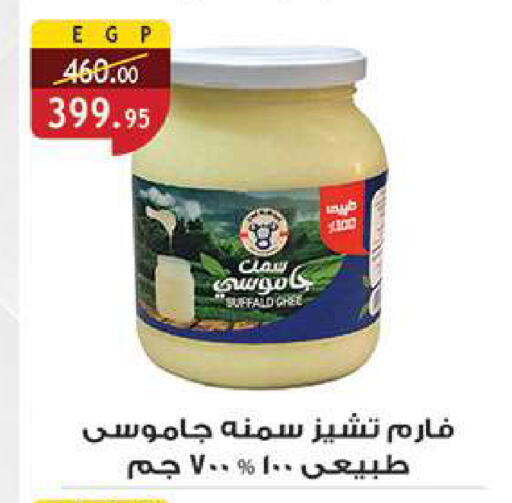 available at الرايه  ماركت in Egypt - القاهرة
