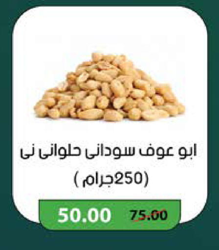 available at Seoudi Supermarket in Egypt - Cairo