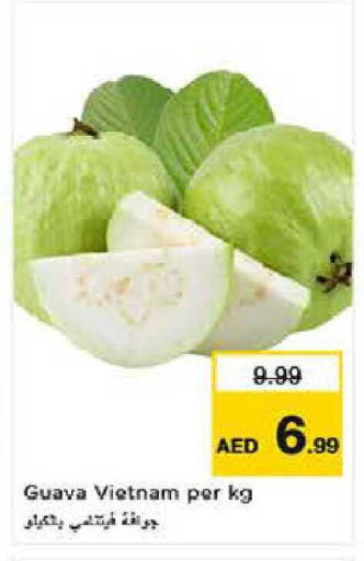 Guava from Vietnam available at Last Chance  in UAE - Fujairah