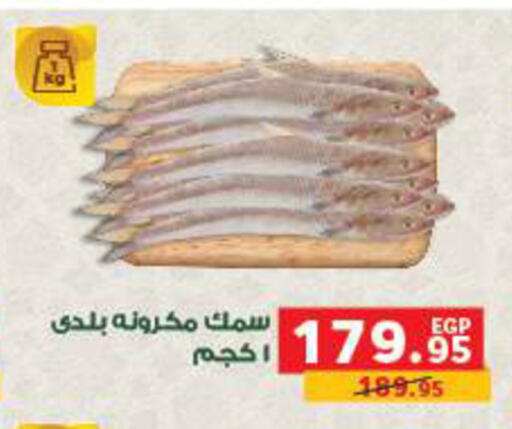 available at بنده in Egypt - القاهرة