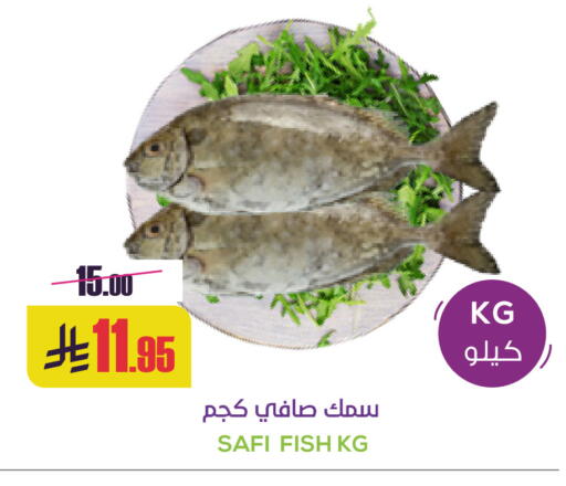available at Sapt in KSA, Saudi Arabia, Saudi - Buraidah