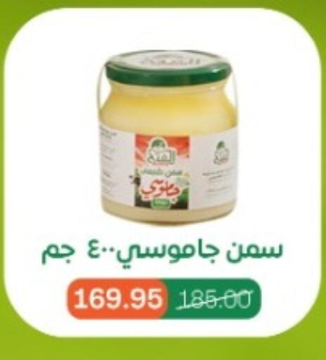 available at بيت الجملة in Egypt - القاهرة