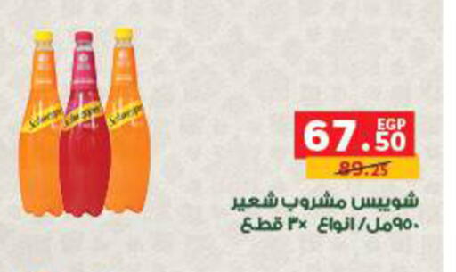 available at بنده in Egypt - القاهرة