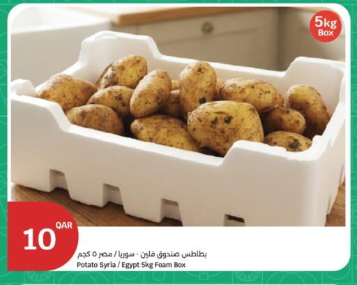 Potato from Syria Egypt available at سيتي هايبرماركت in قطر - الدوحة