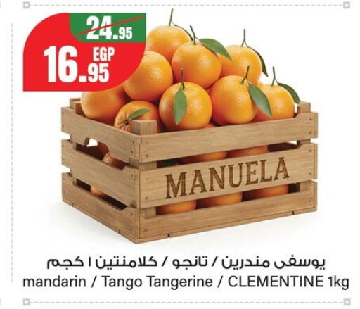 Mandarin from Egypt available at Géant Egypt in Egypt - Cairo
