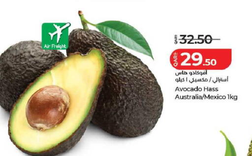 Avocado from Australia Mexico available at LuLu Hypermarket in Qatar - Al Daayen