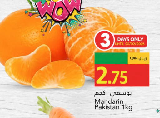 Mandarin from Pakistan available at جلف فود سنتر in قطر - أم صلال