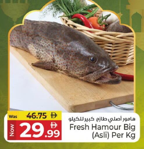 available at كنز هايبرماركت in الإمارات العربية المتحدة , الامارات - الشارقة / عجمان