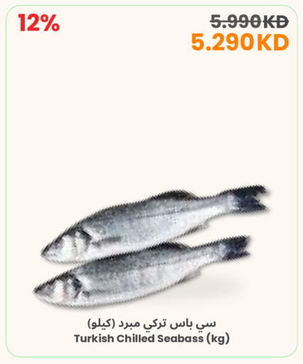 available at The Sultan Center in Kuwait - Ahmadi Governorate