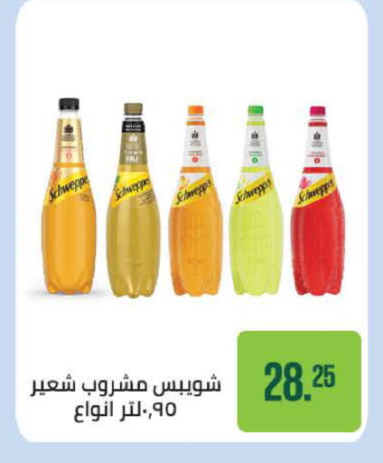 available at Seoudi Supermarket in Egypt - Cairo