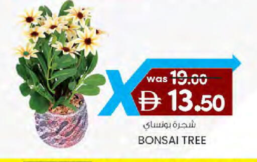 available at ك. الم. للتجارة in الإمارات العربية المتحدة , الامارات - دبي