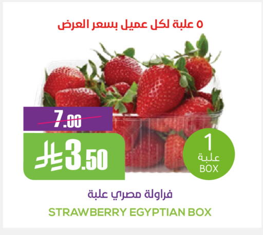 Strawberry from Egypt available at سبت in مملكة العربية السعودية, السعودية, سعودية - بريدة