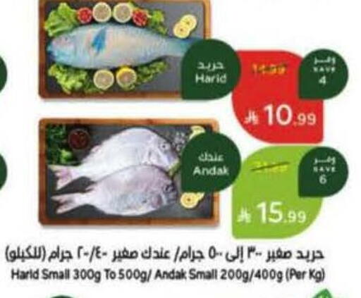 available at Hyper Panda in KSA, Saudi Arabia, Saudi - Tabuk