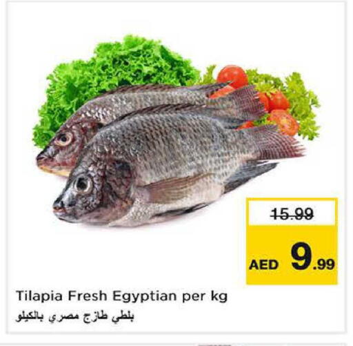 available at نستو هايبرماركت in الإمارات العربية المتحدة , الامارات - الشارقة / عجمان