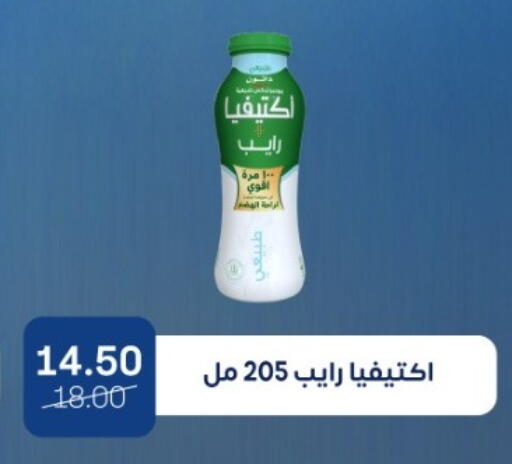 available at بيت الجملة in Egypt - القاهرة
