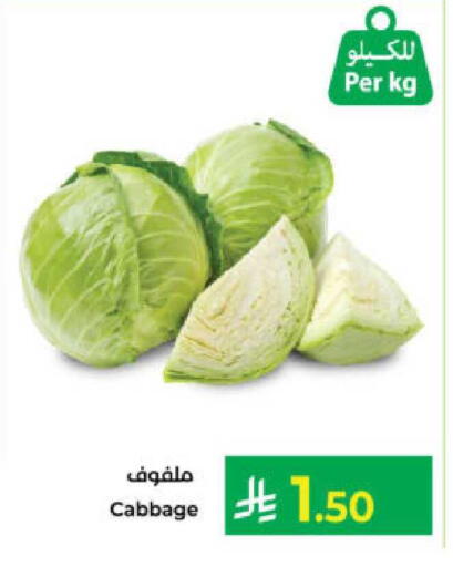 Cabbage available at Kabayan Hypermarket in KSA, Saudi Arabia, Saudi - Yanbu