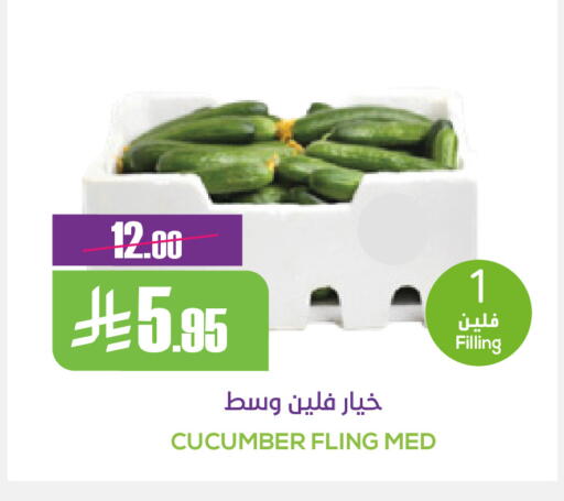 Cucumber available at سبت in مملكة العربية السعودية, السعودية, سعودية - بريدة