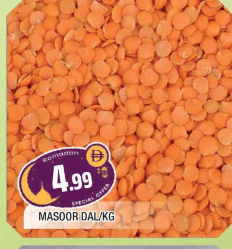 available at المدينة in الإمارات العربية المتحدة , الامارات - الشارقة / عجمان