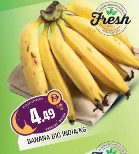 Banana from India available at المدينة in الإمارات العربية المتحدة , الامارات - الشارقة / عجمان