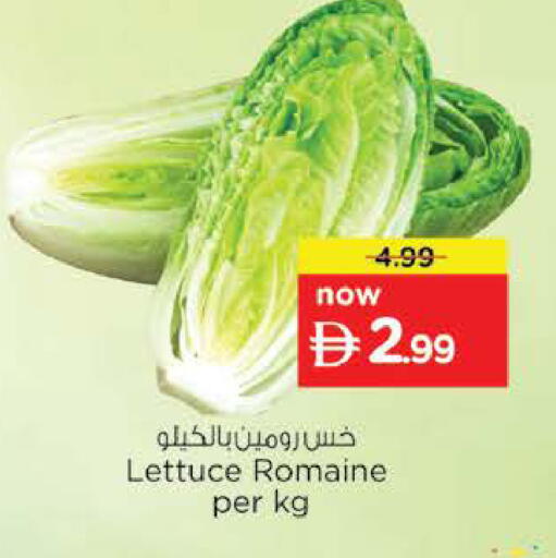 Lettuce available at نستو هايبرماركت in الإمارات العربية المتحدة , الامارات - رَأْس ٱلْخَيْمَة