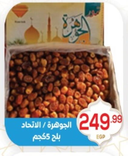 available at أولاد المحاوى in Egypt - القاهرة