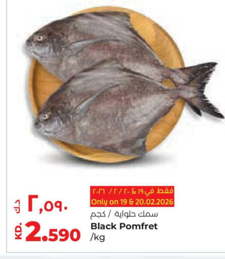 available at Lulu Hypermarket  in Kuwait - Ahmadi Governorate