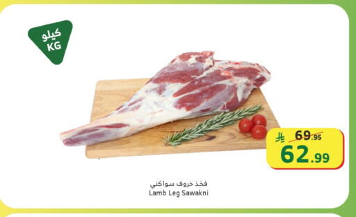 available at الراية in مملكة العربية السعودية, السعودية, سعودية - نجران