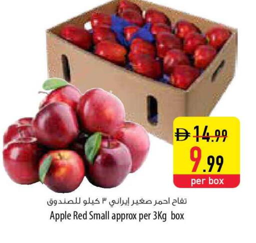 Apple available at السفير ماركت in الإمارات العربية المتحدة , الامارات - أم القيوين‎
