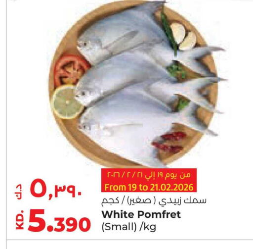 available at Lulu Hypermarket  in Kuwait - Ahmadi Governorate