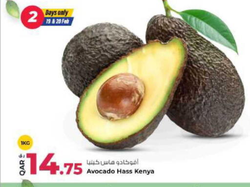 Avocado from Kenya available at Rawabi Hypermarket in Qatar - Al-Shahaniya
