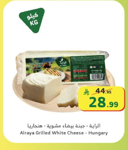 available at الراية in مملكة العربية السعودية, السعودية, سعودية - الطائف