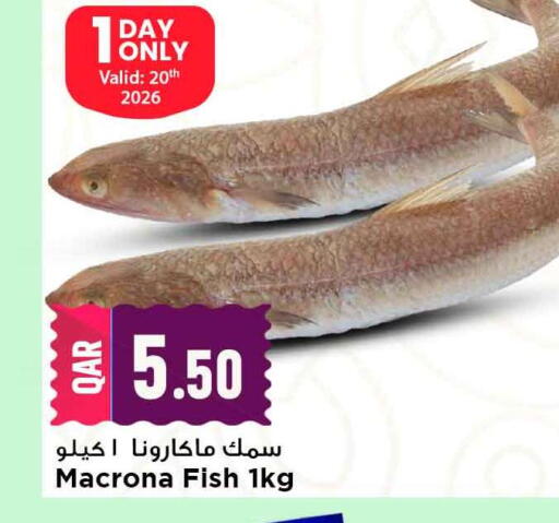 available at Marza Hypermarket in Qatar - Al Daayen