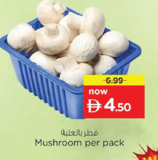 Mushroom available at نستو هايبرماركت in الإمارات العربية المتحدة , الامارات - رَأْس ٱلْخَيْمَة