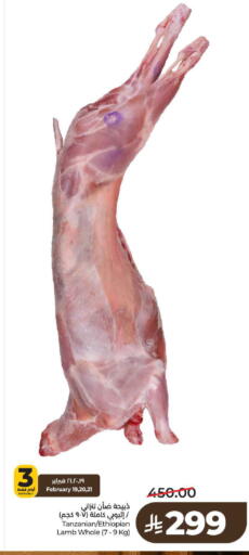 available at لولو هايبرماركت in مملكة العربية السعودية, السعودية, سعودية - حائل‎