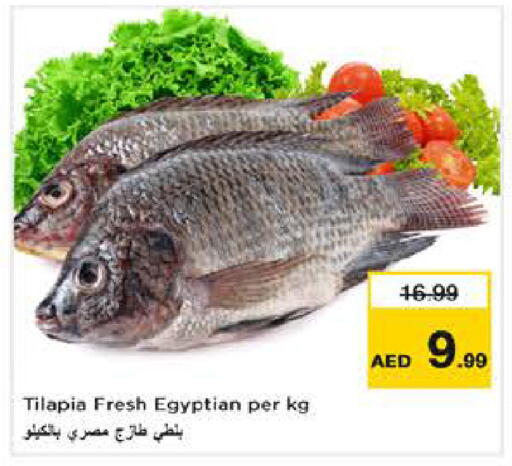 available at نستو هايبرماركت in الإمارات العربية المتحدة , الامارات - دبي