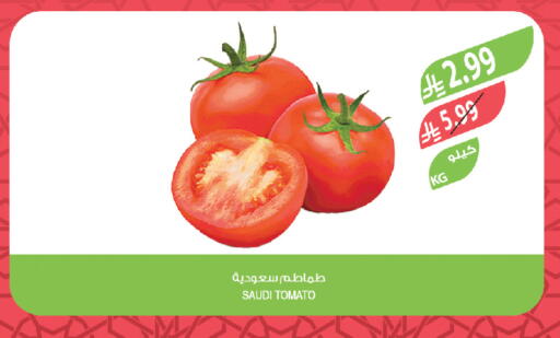 Tomato from Saudi Arabia available at Farm  in KSA, Saudi Arabia, Saudi - Riyadh