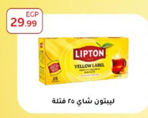 available at أولاد المحاوى in Egypt - القاهرة