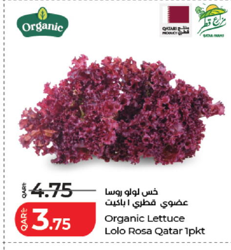 Lettuce from Qatar available at لولو هايبرماركت in قطر - أم صلال