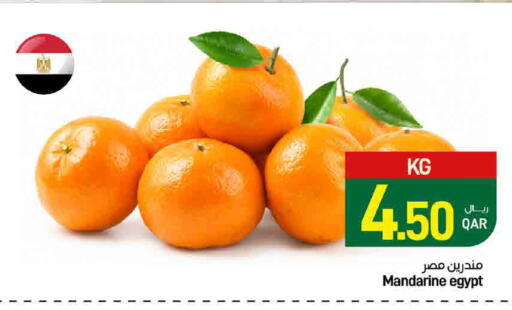 from Egypt available at ســبــار in قطر - الريان