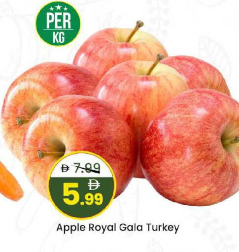 Apple from Turkey available at Mark & Save in UAE - Abu Dhabi
