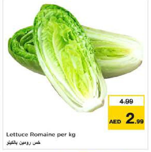 Lettuce available at نستو هايبرماركت in الإمارات العربية المتحدة , الامارات - دبي