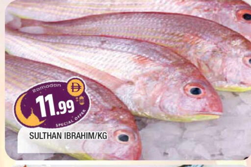 available at المدينة in الإمارات العربية المتحدة , الامارات - الشارقة / عجمان