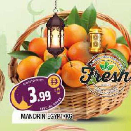 from Egypt available at المدينة in الإمارات العربية المتحدة , الامارات - الشارقة / عجمان