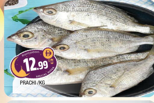 available at المدينة in الإمارات العربية المتحدة , الامارات - الشارقة / عجمان