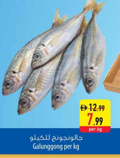 available at Safeer Market in UAE - Fujairah