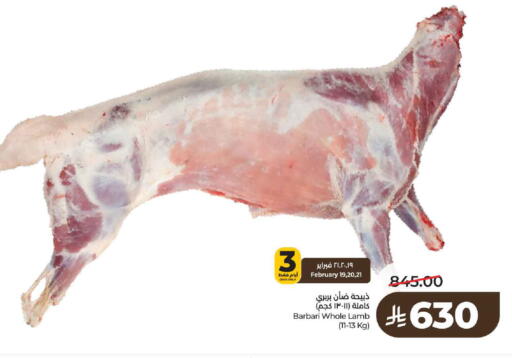 available at لولو هايبرماركت in مملكة العربية السعودية, السعودية, سعودية - حائل‎